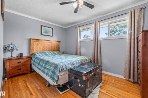10534 163 Street Nw, Edmonton, AB - Indoor Photo Showing Bedroom