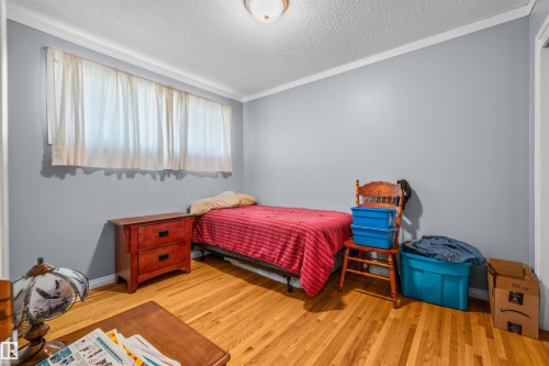 10534 163 Street Nw, Edmonton, AB - Indoor Photo Showing Bedroom
