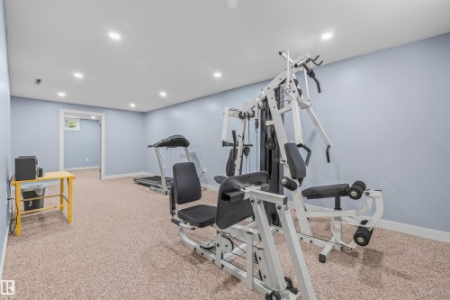 10534 163 Street Nw, Edmonton, AB - Indoor Photo Showing Gym Room