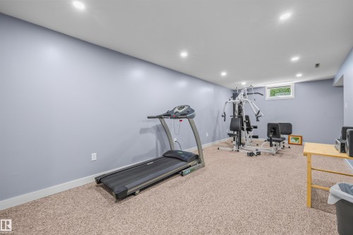 10534 163 Street Nw, Edmonton, AB - Indoor Photo Showing Gym Room
