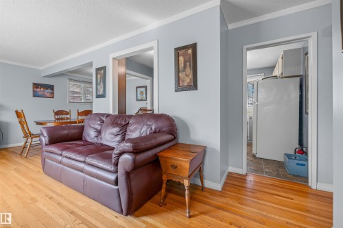 10534 163 Street Nw, Edmonton, AB - Indoor Photo Showing Living Room