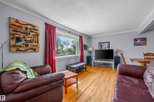 10534 163 Street Nw, Edmonton, AB - Indoor Photo Showing Living Room