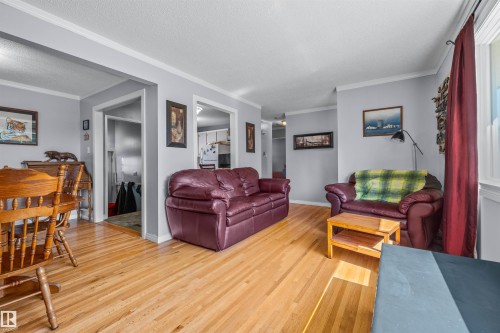 10534 163 Street Nw, Edmonton, AB - Indoor Photo Showing Living Room