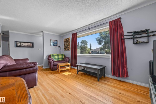 10534 163 Street Nw, Edmonton, AB - Indoor Photo Showing Living Room