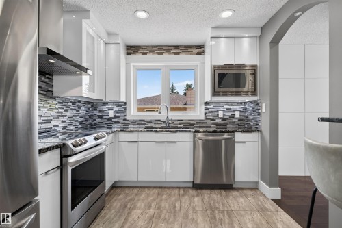 3911 67 Street Nw, Edmonton, AB - Indoor Photo Showing Kitchen With Upgraded Kitchen