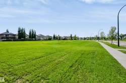 Expansive green space featuring a manicured lawn, established sidewalk, streetlights, and mature trees - 