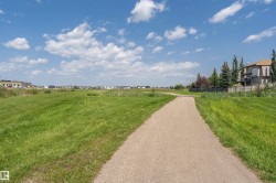 Paved walking path bordered by expansive green space and distant residential properties - 