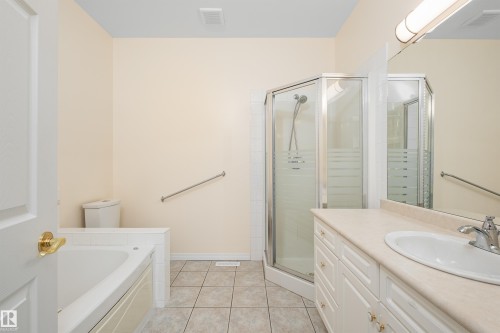 434 Tory Point(E) Nw, Edmonton, AB - Indoor Photo Showing Bathroom