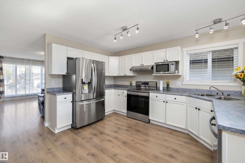 3019 33 Avenue Nw, Edmonton, AB - Indoor Photo Showing Kitchen With Stainless Steel Kitchen With Double Sink