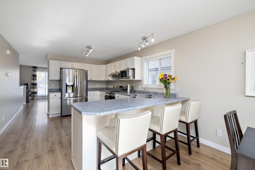 3019 33 Avenue Nw, Edmonton, AB - Indoor Photo Showing Kitchen With Stainless Steel Kitchen