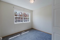 Bright room featuring a large window, neutral wall paint, gray carpet flooring, white trim, and a flush-mount ceiling light fixture - 