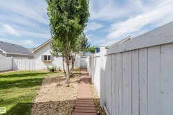 Side yard featuring a wooden pathway, white privacy fencing, and mature trees - 