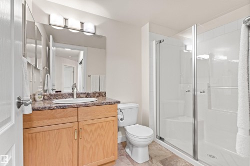 #203 8956 156 St Nw, Edmonton, AB - Indoor Photo Showing Bathroom