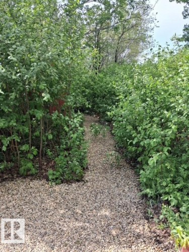 Gravel pathway bordered by mature green foliage and established trees - 204 Sandy Beach Way, Rural Two Hills County, AB - Outdoor