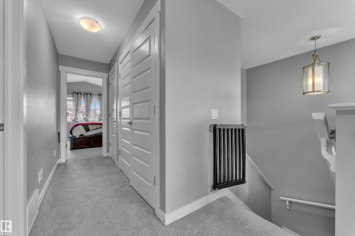 Carpeted hallway with white trim, leading to a room with vaulted ceilings and large windows - 1942 Chapman Road Sw, Edmonton, AB - Indoor Photo Showing Other Room