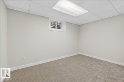 Room with light-colored walls, neutral carpet flooring, a drop ceiling, and a single window with white trim - 