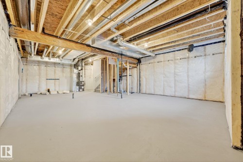 4011 207 Street Nw, Edmonton, AB - Indoor Photo Showing Basement