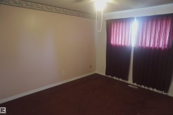 Carpeted room featuring a ceiling fan with integrated lighting, window with drapes, and a decorative wallpaper border - 
