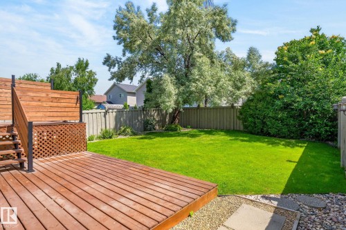 Spacious backyard featuring a wood deck with lattice detailing and stairs, a lush green lawn, and mature trees providing natural screening - 3211 Mcphadden Place Sw, Edmonton, AB - Outdoor With Deck Patio Veranda