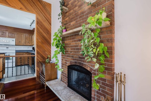 10433 32A Avenue Nw, Edmonton, AB - Indoor With Fireplace