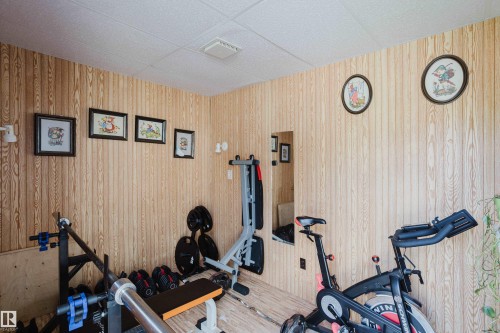 10433 32A Avenue Nw, Edmonton, AB - Indoor Photo Showing Gym Room