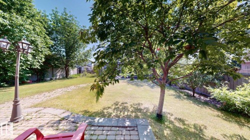 Expansive green lawn with mature trees and perimeter landscaping - 335 62 Street Sw, Edmonton, AB - Outdoor