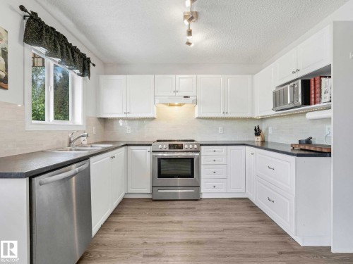 15052 133 Street, Edmonton, AB - Indoor Photo Showing Kitchen With Double Sink