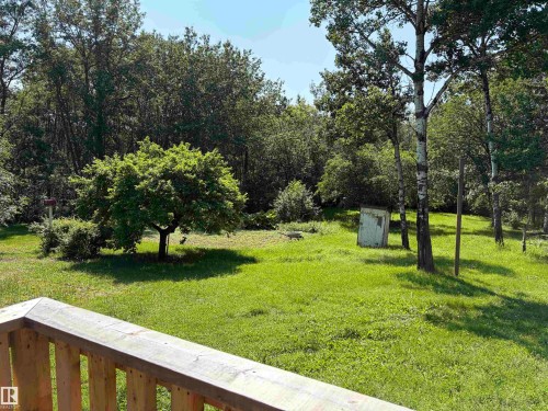 Expansive green lawn surrounded by mature trees, featuring a prominent central tree with a full canopy - # 501  11131 Twp Rd 600, Rural St. Paul County, AB - Outdoor