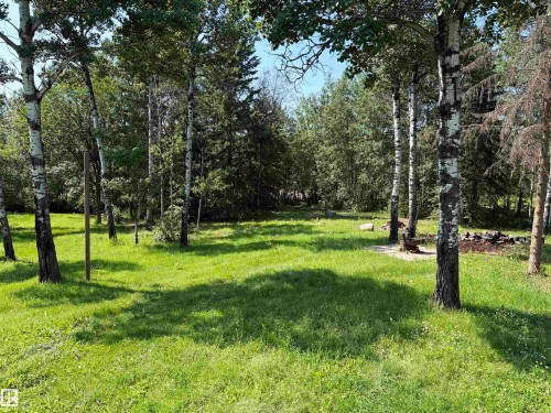 Expansive wooded lot featuring mature trees and a substantial grassy area - # 501  11131 Twp Rd 600, Rural St. Paul County, AB - Outdoor