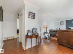Room featuring wood-finish flooring, white wall paint, and crown molding - 