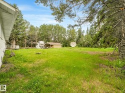 Expansive grassy yard area with mature trees and a detached structure - 