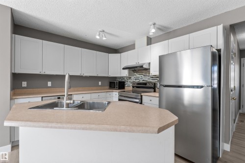 Open concept counter height island for entertaining - 6837 159A Avenue Nw, Edmonton, AB - Indoor Photo Showing Kitchen With Double Sink