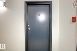 Solid core entry door with a dark finish and contrasting trim - 