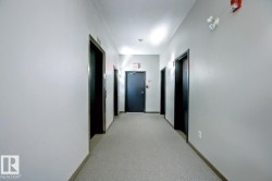 Hallway with light gray walls, dark gray doors, and light gray carpeted flooring - 