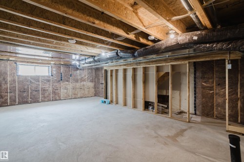 3883 Chrustawka Place Sw, Edmonton, AB - Indoor Photo Showing Basement
