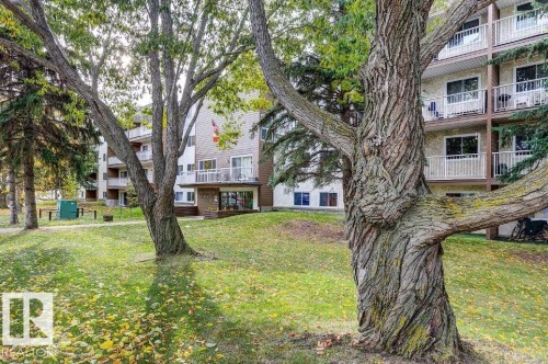 Exterior features a multi-story building with individual balconies - 5425 144B Avenue Northwest, Edmonton, AB - Outdoor