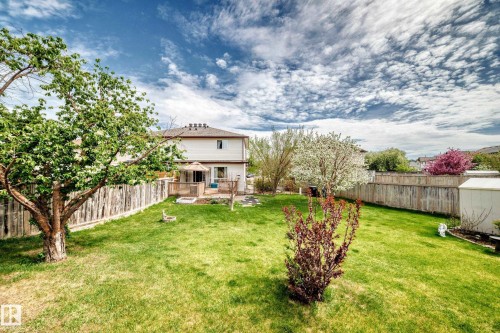 9147 165 Avenue, Edmonton, AB - Outdoor With Deck Patio Veranda With Backyard