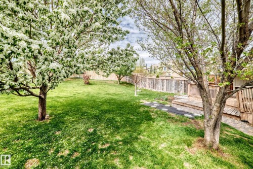 9147 165 Avenue, Edmonton, AB - Outdoor