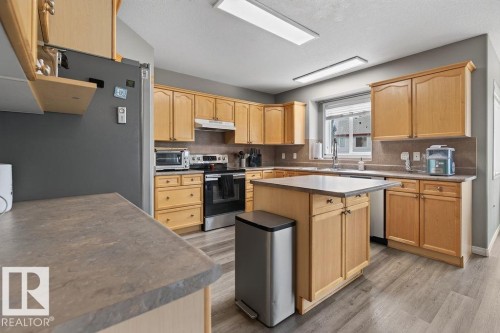 20431 57 Avenue Nw, Edmonton, AB - Indoor Photo Showing Kitchen With Double Sink