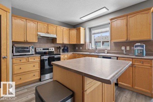 20431 57 Avenue Nw, Edmonton, AB - Indoor Photo Showing Kitchen With Double Sink