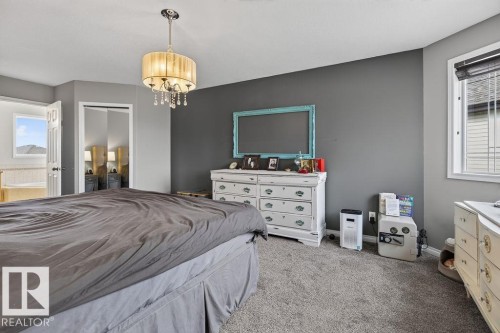 20431 57 Avenue Nw, Edmonton, AB - Indoor Photo Showing Bedroom