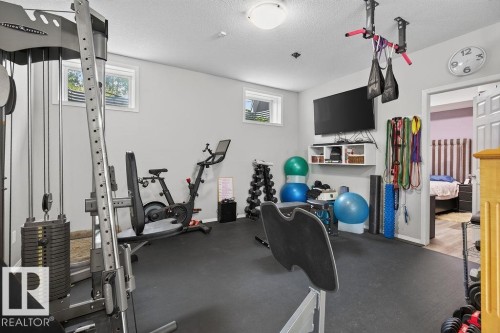 20431 57 Avenue Nw, Edmonton, AB - Indoor Photo Showing Gym Room
