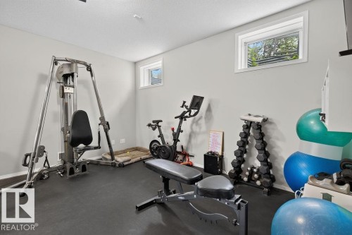 20431 57 Avenue Nw, Edmonton, AB - Indoor Photo Showing Gym Room