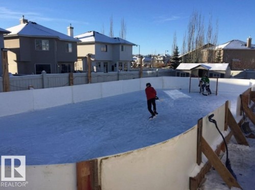 This yard is big enough for all your family fun! This was a few years ago but make it happen!! - 20431 57 Avenue Nw, Edmonton, AB - Outdoor