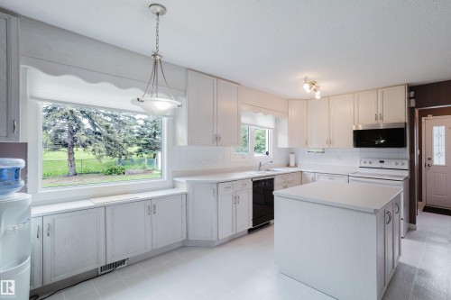 3936 72 Street Nw, Edmonton, AB - Indoor Photo Showing Kitchen