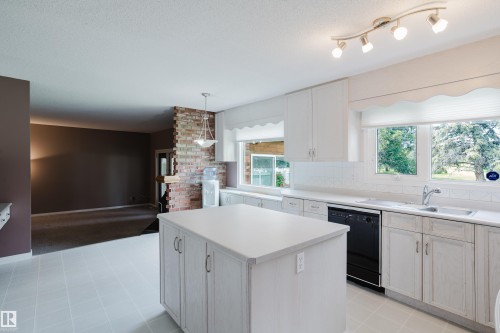 3936 72 Street Nw, Edmonton, AB - Indoor Photo Showing Kitchen With Double Sink