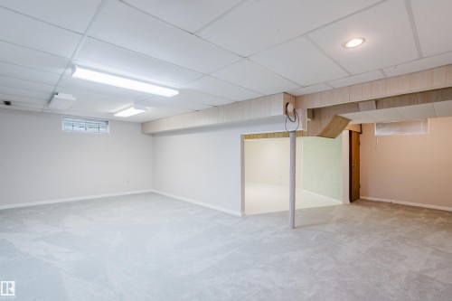 3936 72 Street Nw, Edmonton, AB - Indoor Photo Showing Basement