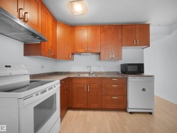 Kitchen featuring wood cabinetry, mottled countertops, and light wood-finish flooring - 