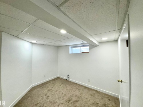 2908 44A Avenue Nw, Edmonton, AB - Indoor Photo Showing Basement