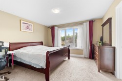 Carpeted bedroom with a large window, neutral wall tones, and crown molding - 